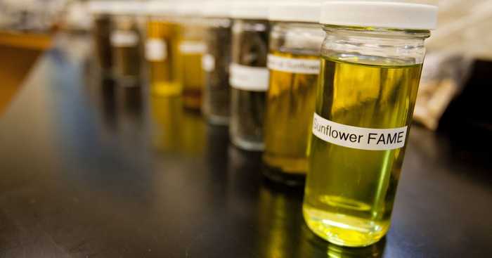 Leilão 50 tem 35 usinas de biodiesel inscritas