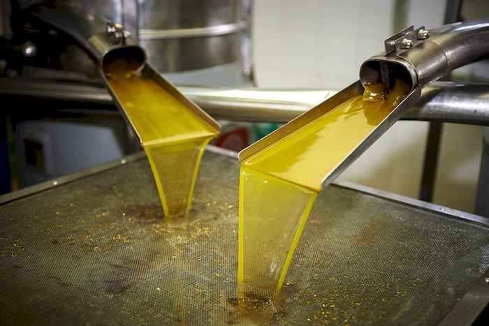 Preços de referência do biodiesel voltam a subir com força