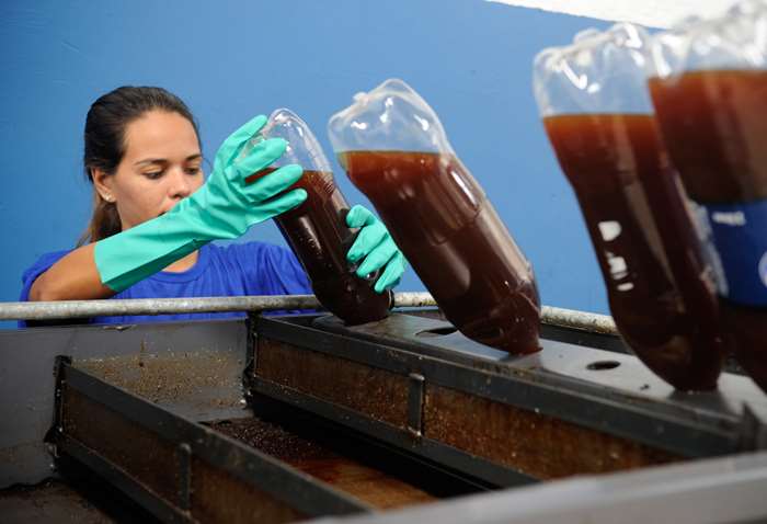 Ministério do Meio Ambiente faz campanha de coleta de óleo de cozinha