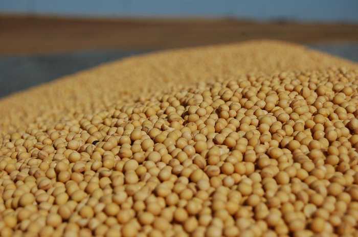Consumo de óleo de soja pela indústria de biodiesel bate recorde