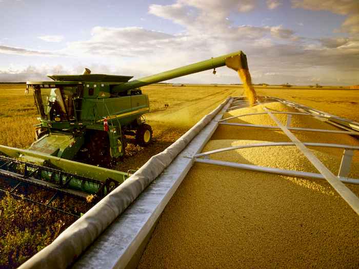 Abiove mantém previsão de produção de soja no Brasil