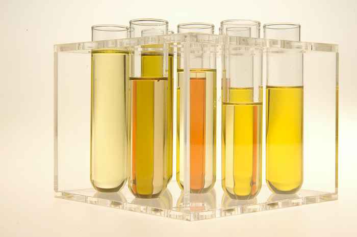 MME publica portaria que garante recursos para testes de motores com biodiesel