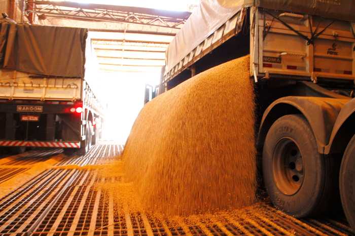 Brasil deve se tornar maior produtor global de soja até 2019