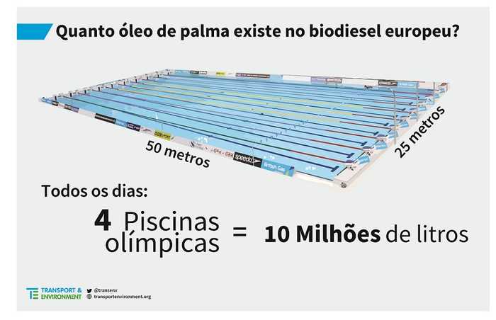 Biodiesel absorve quase metade do óleo de palma importado pela UE