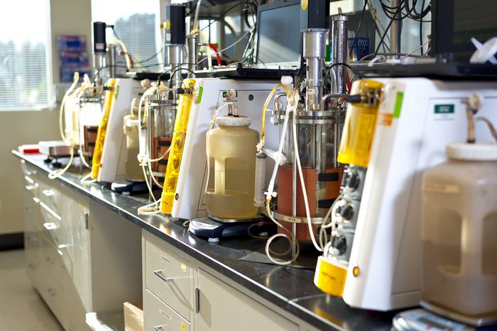 REG e ExxonMobil pretendem desenvolver biodiesel de 2ª geração