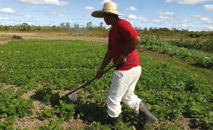 Usinas de biodiesel adquiriram R$ 4 bi da agricultura familiar em 2015