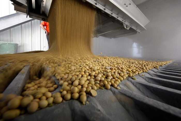 Brasil deve bater recorde de processamento de soja, USDA