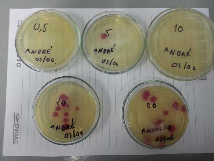 Alunos da USP de Lorena querem modificar bactéria para produzir biodiesel