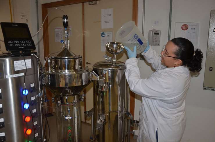 Pesquisa quer transformar resíduos de palma em biogás