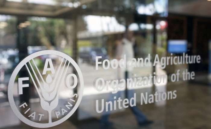 Óleos vegetais ficaram 31,5% mais caros em 2016