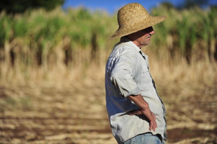 Abiove se posiciona em defesa do Selo Combustível Social