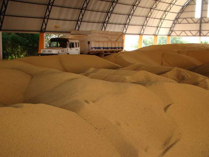 Agroconsult eleva previsão de safra de soja do Brasil para 107,8 mi t