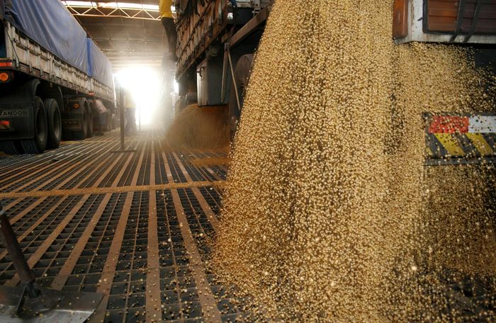 Com preço da soja em baixa, Brasil pode ter crise de armazenamento
