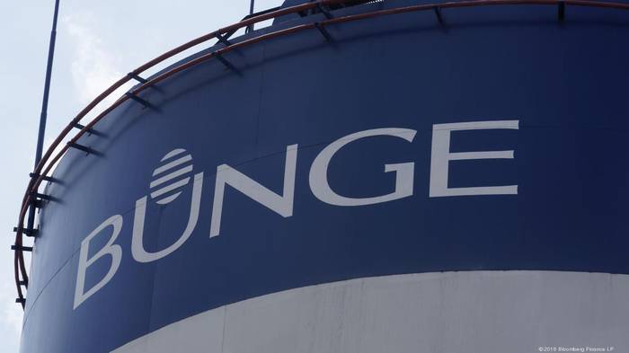 Bunge investe US$ 946 mi para comprar empresa de palma