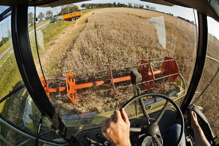 EUA devem bater recorde de produção de soja pelo segundo ano consecutivo