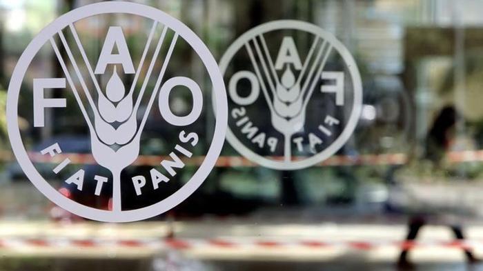 Óleos vegetais ficaram 4,5% mais caros durante setembro