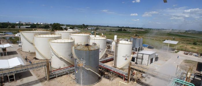 Leilão 56 tem oferta recorde de biodiesel