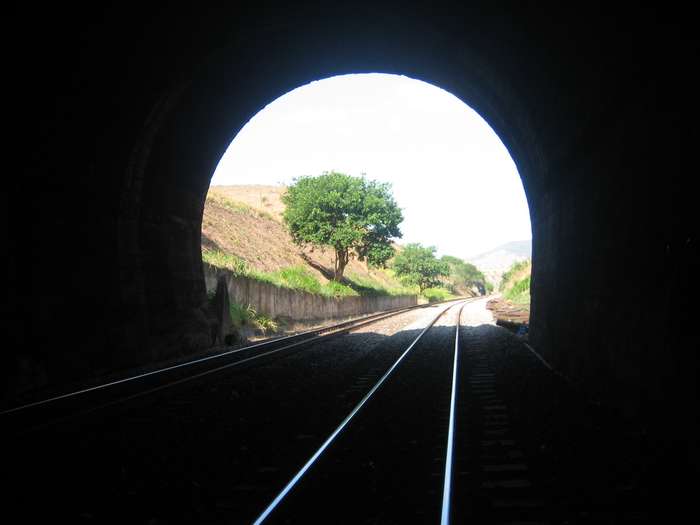 A demanda do L54 e a luz no fim do túnel do setor de biodiesel