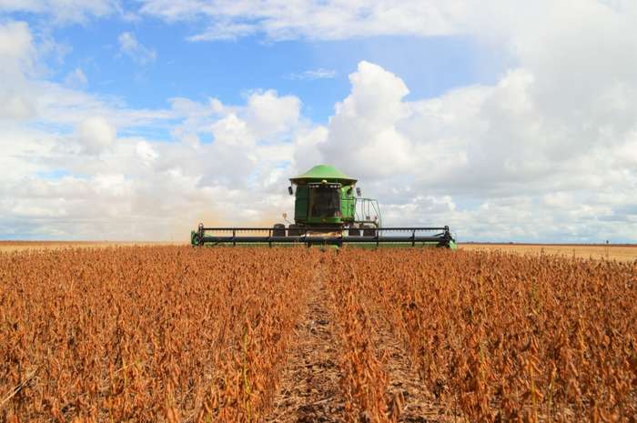 Materiais graxos mantém trajetória ascendente no mercado de biodiesel