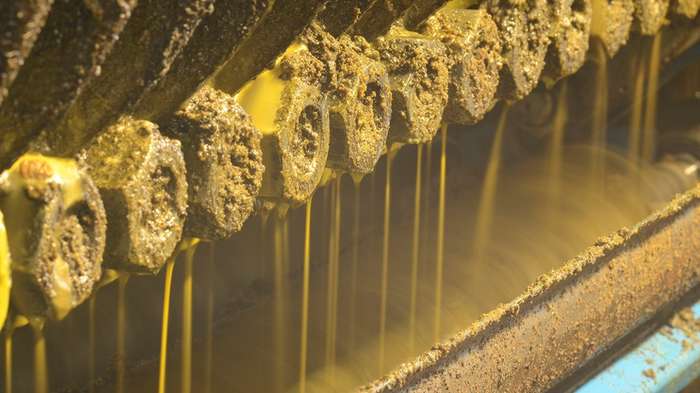 Biodiesel brasileiro ficou mais diversificado em 2016