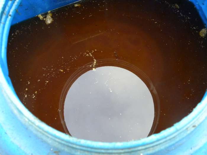 MS pode tornar a reciclagem de óleo de cozinha obrigatória para grandes consumidores