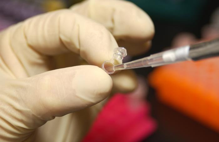 Pesquisa brasileira quer tornar óleo de soja melhor para biodiesel