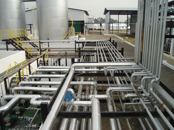 Usinas de biodiesel voltam a bater recorde de produção em maio