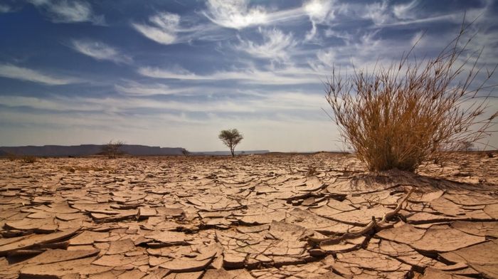 Controlar mudanças climáticas exigirá remover carbono da atmosfera