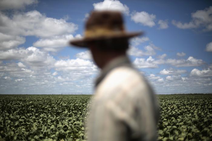 14 usinas de biodiesel têm Selo Social renovado