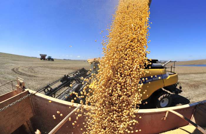 USDA eleva projeção para soja no Brasil em 2 milhões de toneladas