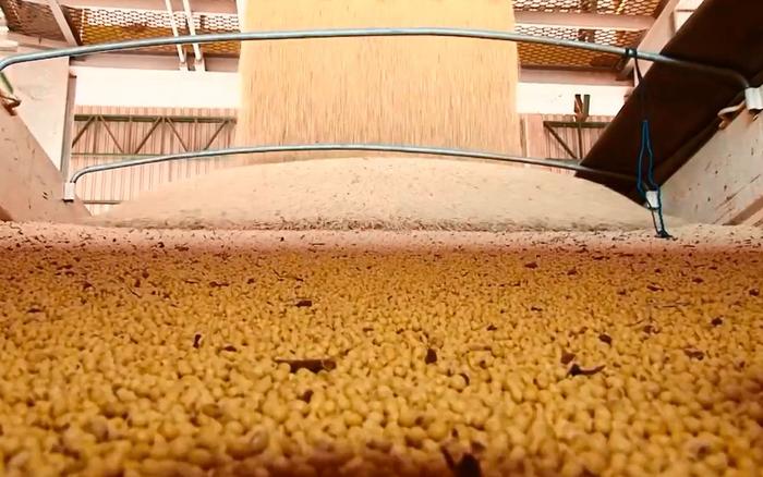 Abiove eleva estimativa para as exportações brasileiras de soja
