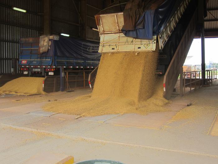 Óleo de soja representou 70,5% do biodiesel fabricado no semestre