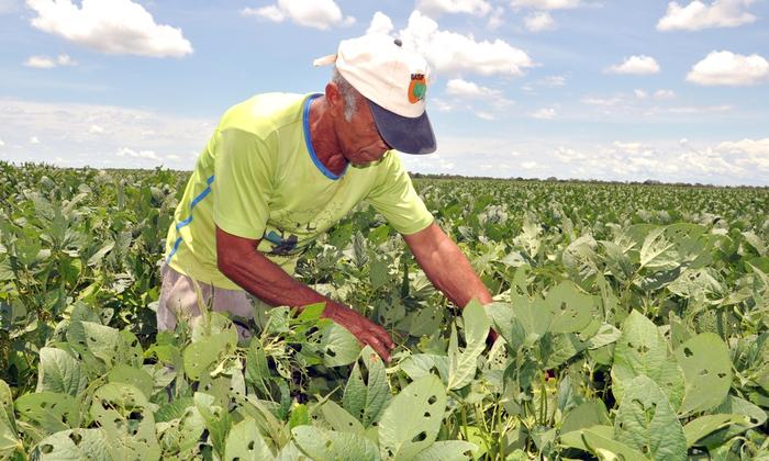 Selo Social de nove usinas de biodiesel é renovado