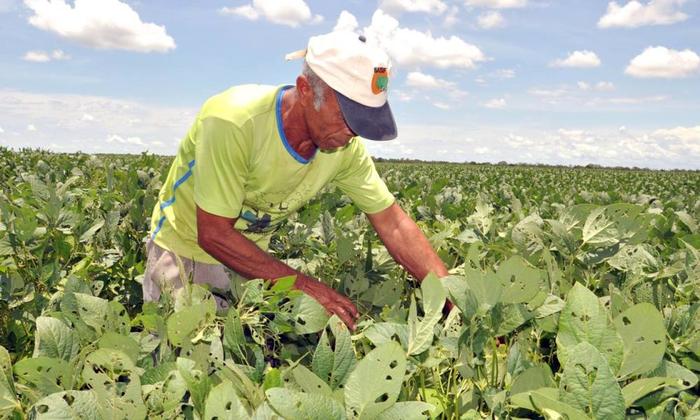 Governo do Tocantins realiza evento sobre biodiesel e Selo Social