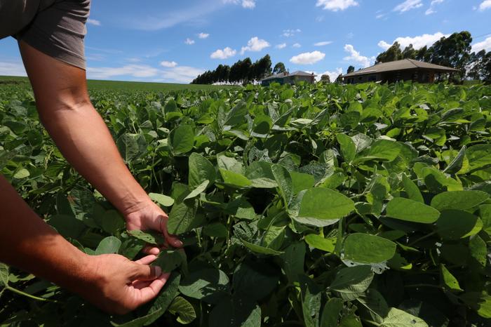 Setor de biodiesel tem novas regras para o Selo Social