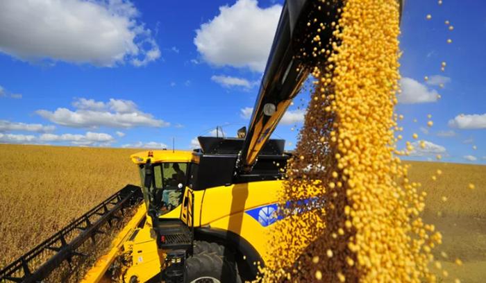 Brasil confirma colheita de maior safra de oleaginosas da história