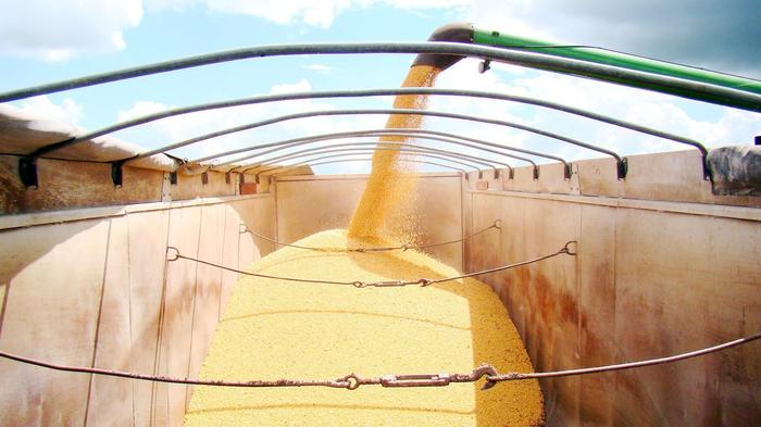 Soja volta a aumentar sua participação no mercado de biodiesel