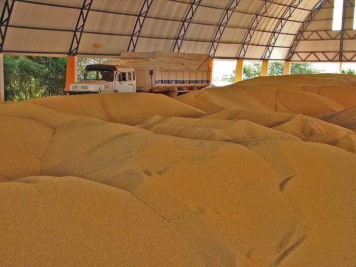 Demanda chinesa afeta disponibilidade de soja no mercado interno