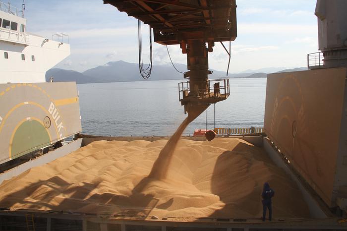 Abiove eleva estimativa para exportações brasileiras de soja
