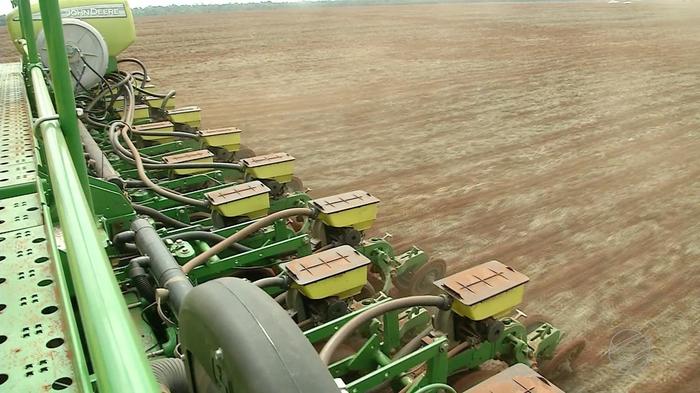 Plantio de soja evolui em ritmo acelerado em quase todo o país