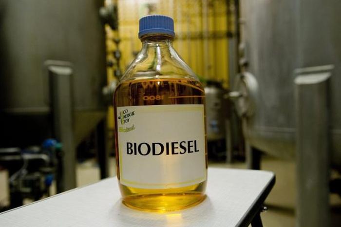 Empresa de biodiesel arremata usina que pertencia à Bionasa