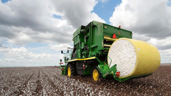 Mato Grosso e Bahia vão aumentar área plantada de algodão