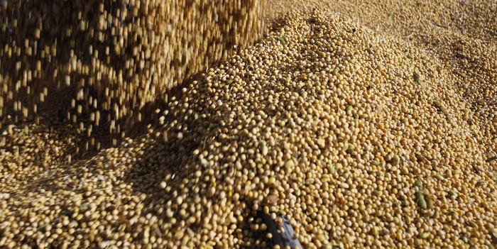 Conab eleva estimativa de grãos no país para 238 milhões de toneladas