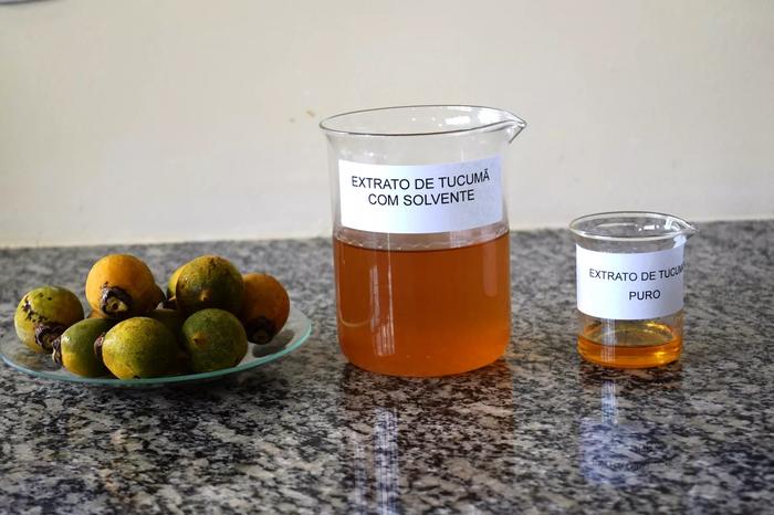 Pesquisador do IFRR cria aditivo de biodiesel com óleo de fruta nativa da Amazônia