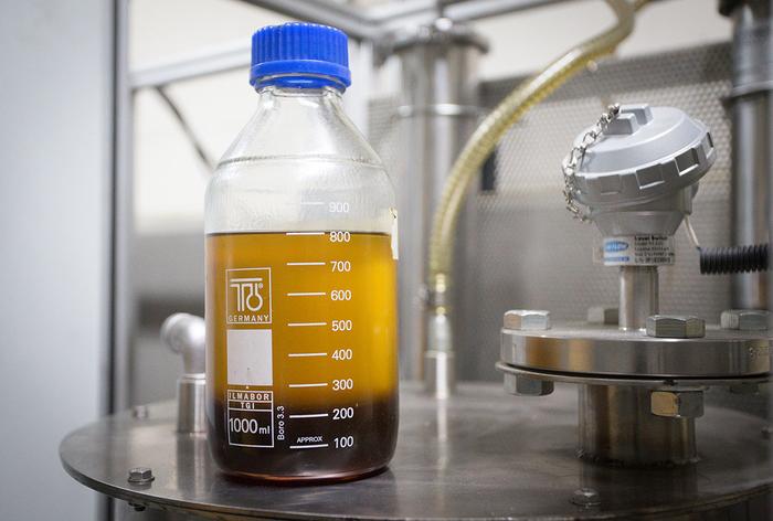 Indústria alemã de biodiesel teve seu melhor 1º trimestre da história