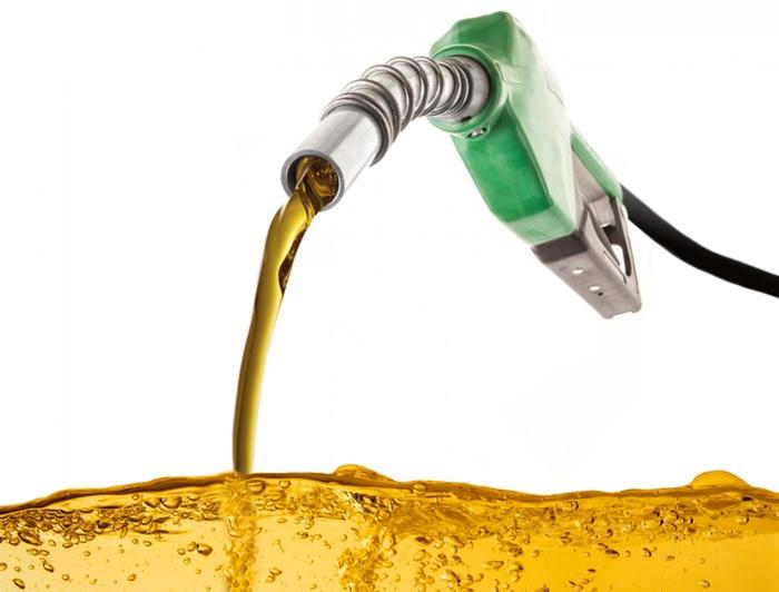ANP realiza audiência pública sobre especificação do biodiesel autorizativo