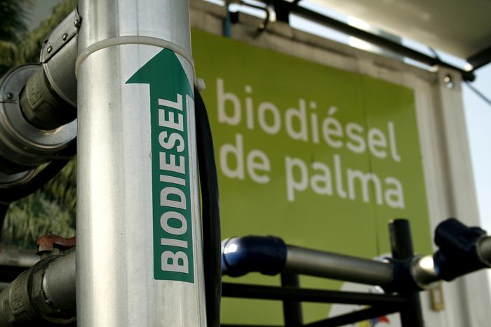 Alta nos preços do diesel pode estimular consumo do óleo de palma