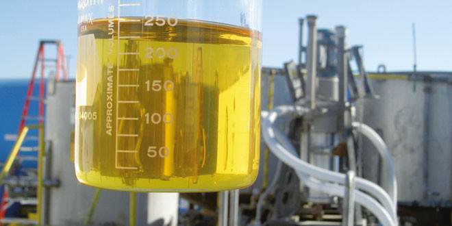 Leilão 61 supera a barreira de 1 bilhão de litros de biodiesel comprados