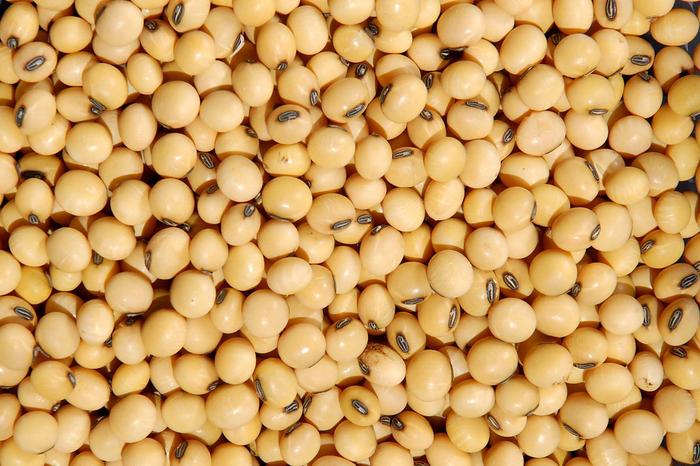 Com B10 setor de biodiesel bate recorde de consumo de soja