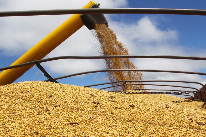 Biodiesel ficou mais dependente da soja em maio
